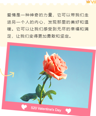 样式ID：159292 520网络情人节上下图文文艺粉色样式