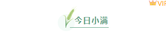 样式ID：127363 二十四节气小满清新简约框线标题