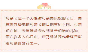 样式ID：98102 母亲节感恩节康乃馨简约底色正文内容
