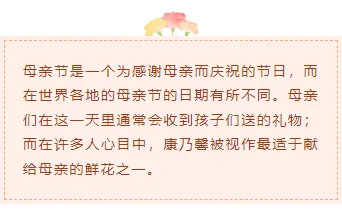 运营必看|2026康乃馨公众号排版素材与样式推荐 7 样式ID:98102 母亲节感恩节康乃馨简约底色正文内容