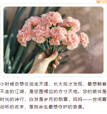 样式ID：158946 母亲节上下图文简约粉色文艺样式