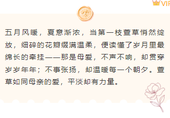 样式ID：172347 母亲节底色内容文艺温馨粉色样式