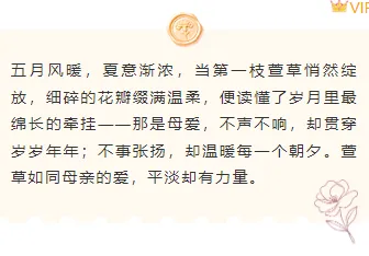 别再为母亲节公众号排版发愁了!2026爆款样式素材免费获取 7 样式ID:172347 母亲节底色内容文艺温馨粉色样式