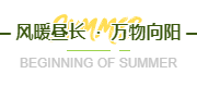 公众号运营必看！2026节气公众号排版素材与样式推荐