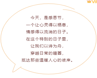 样式ID：150490 感恩节边框内容文艺复古样式