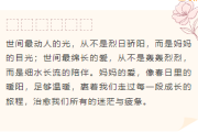 2026温馨公众号排版素材与样式推荐，免费获取省时省力！