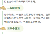 2026小满公众号排版指南｜实用样式与模板全推荐