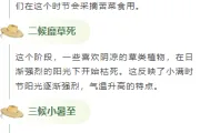 2026小满公众号排版指南｜实用样式与模板全推荐