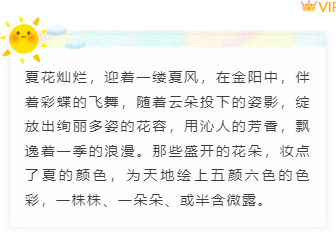 2026卡通公众号排版怎么做?精选样式素材与模板推荐 12 样式ID:95261 夏天动态小太阳卡通可爱正文