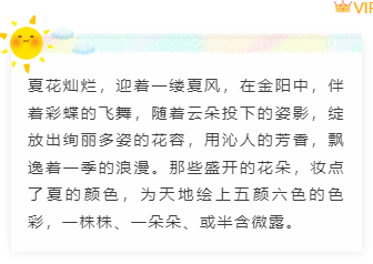 样式ID：95261 夏天动态小太阳卡通可爱正文