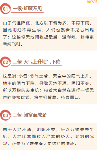 样式ID：166347 小雪节气段落正文简约棕色样式