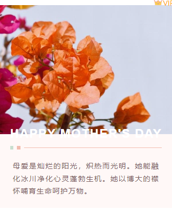 样式ID：103695 母亲节简约粉色康乃馨底色正文