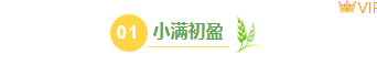样式ID：143066 小满节气编号标题简约绿色样式