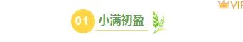2026小满公众号排版指南|实用样式与模板全推荐 4 样式ID:143066 小满节气编号标题简约绿色样式