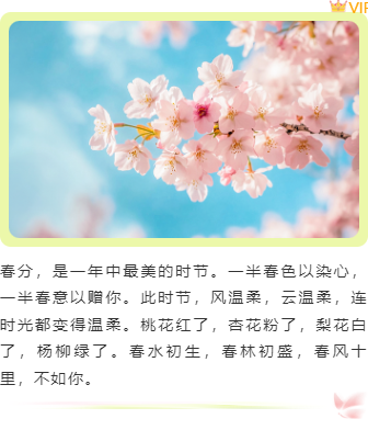 样式ID：170377 春分二十四节气上下图文文艺清新绿色样式