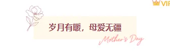 样式ID：172357 母亲节图片标题文艺温馨粉色样式