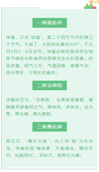 样式ID：102636 惊蛰二十四节气绿色清新叶子瓢虫框线底色标题正文内容段落文字组合