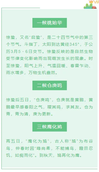 样式ID：102636 惊蛰二十四节气绿色清新叶子瓢虫框线底色标题正文内容段落文字组合