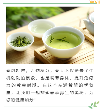 样式ID：156089 春季养生上下图文简约绿色样式