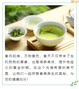 别再为养生公众号排版头疼了!2026实用素材与样式推荐 9 样式ID:156089 春季养生上下图文简约绿色样式