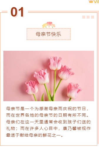 样式ID：98115 母亲节感恩节康乃馨编号序号错位重叠边框上下图文