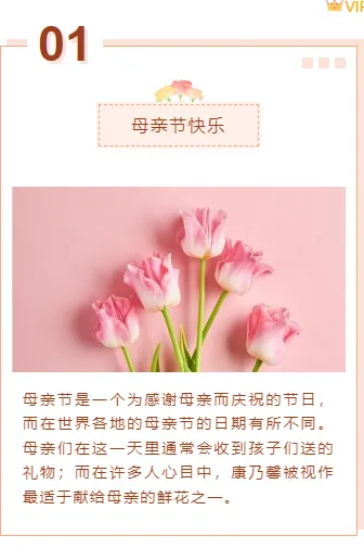 运营必看|2026康乃馨公众号排版素材与样式推荐 9 样式ID:98115 母亲节感恩节康乃馨编号序号错位重叠边框上下图文