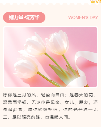 样式ID：156145 妇女节上下图文文艺清新粉色样式