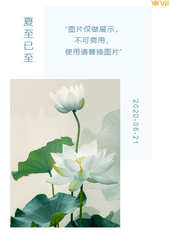 样式ID：98731 蓝色水墨中国风清新二十四节气夏至荷花竖排单图图片介绍
