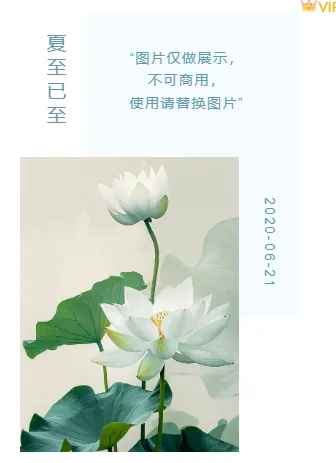 2026水墨公众号排版素材与样式推荐大全 7 样式ID:98731 蓝色水墨中国风清新二十四节气夏至荷花竖排单图图片介绍