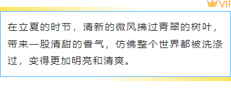 样式ID：142319 立夏节气边框内容简约蓝色样式