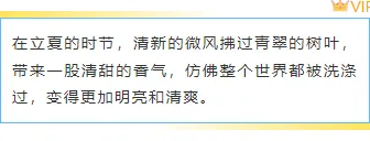 样式ID：142319 立夏节气边框内容简约蓝色样式