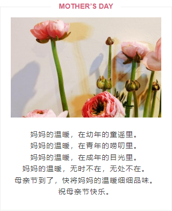 样式ID：92718 母亲节亲子活动简约上下图文