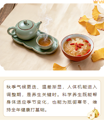 样式ID：165638 秋季养生上下图文古风棕色样式