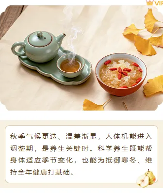 别再为养生公众号排版头疼了!2026实用素材与样式推荐 10 样式ID:165638 秋季养生上下图文古风棕色样式