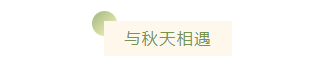 样式ID：105360 二十四节气立秋简约金黄色蝴蝶秋葵圆球底色标题重叠