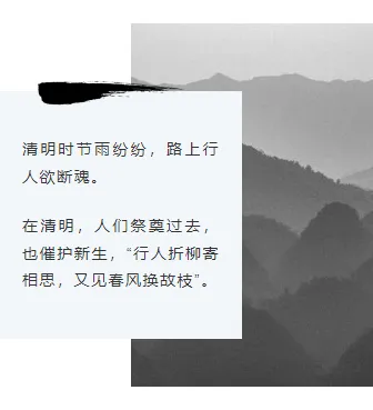 2026水墨公众号排版素材与样式推荐大全 11 样式ID:111210 清明节水墨中国风黑白左右图文