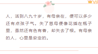 样式ID：103700 母亲节感恩简约粉色康乃馨上下框线正文