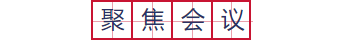 样式ID：92125 政务会议逐字田字格边框标题