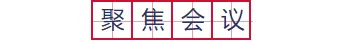 样式ID：92125 政务会议逐字田字格边框标题