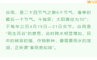 样式ID：103335 二十四节气谷雨绿色清新底色动图正文