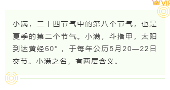 样式ID：143058 小满节气底色内容简约绿色样式