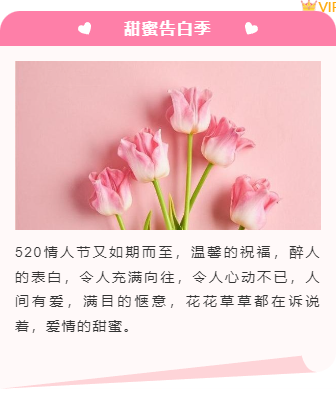 样式ID：127209 520情人节浪漫简约上下图文