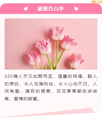 样式ID：127209 520情人节浪漫简约上下图文