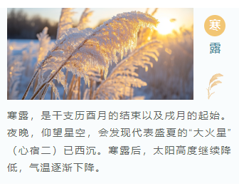 样式ID：118776 二十四节气寒露简约清新上下图文