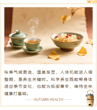 样式ID：165637 秋季养生上下图文古风棕色样式