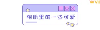 2026相册公众号排版难题怎么破?精选样式素材与模板推荐 1 样式ID:107763 网络热词相册里的小可爱特殊字体标题