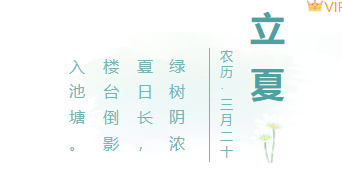 样式ID：103652 立夏二十四节气绿色清新简约框线雏菊大字竖排标题