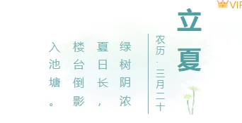 样式ID：103652 立夏二十四节气绿色清新简约框线雏菊大字竖排标题