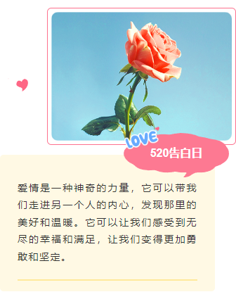 样式ID：159293 520网络情人节上下图文文艺粉色样式