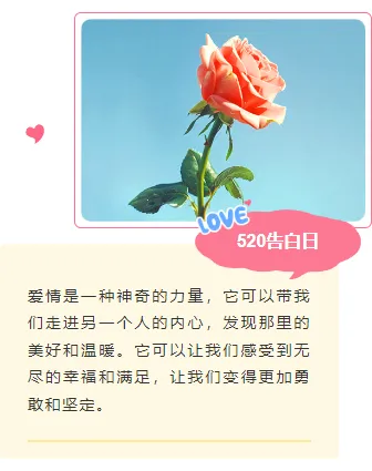 样式ID：159293 520网络情人节上下图文文艺粉色样式